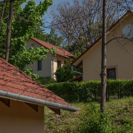 Tulipan Apartman Эгер Экстерьер фото