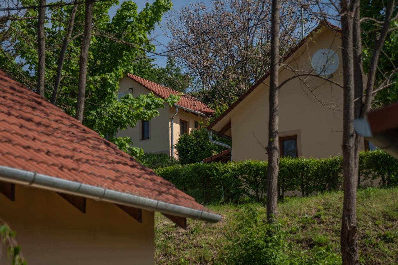 Tulipan Apartman Эгер Экстерьер фото